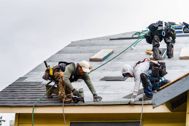 Professional Storm Damage Roof Repair technician working in Dike, IA